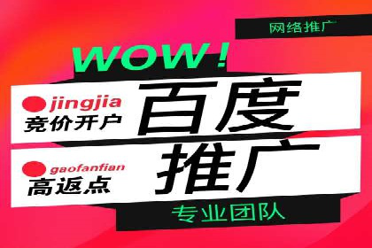 百度推广公司案例解析：如何利用百度推广实现快速转化